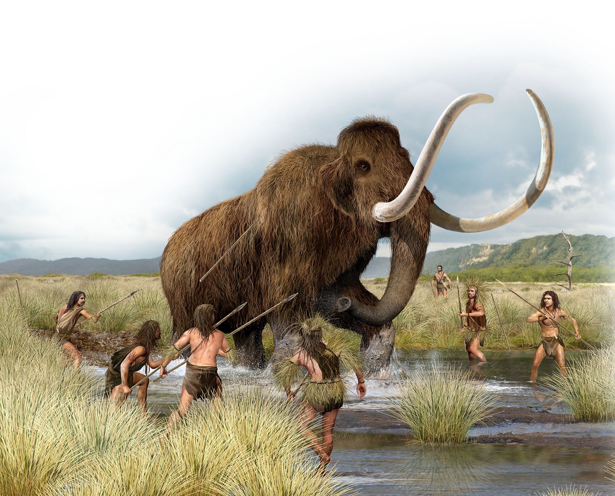 Hunter / gatherers attack a wooly mammoth